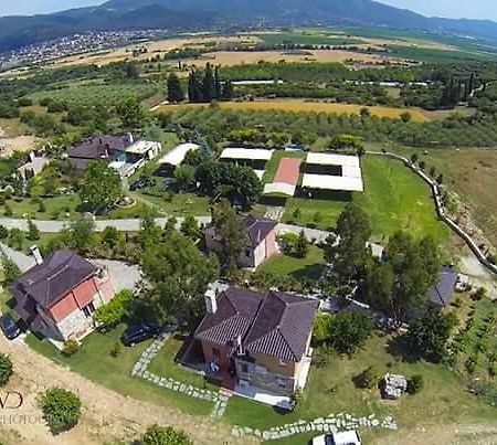 Aparthotel Ktima Papadopoulou Krioneri  Zewnętrze zdjęcie